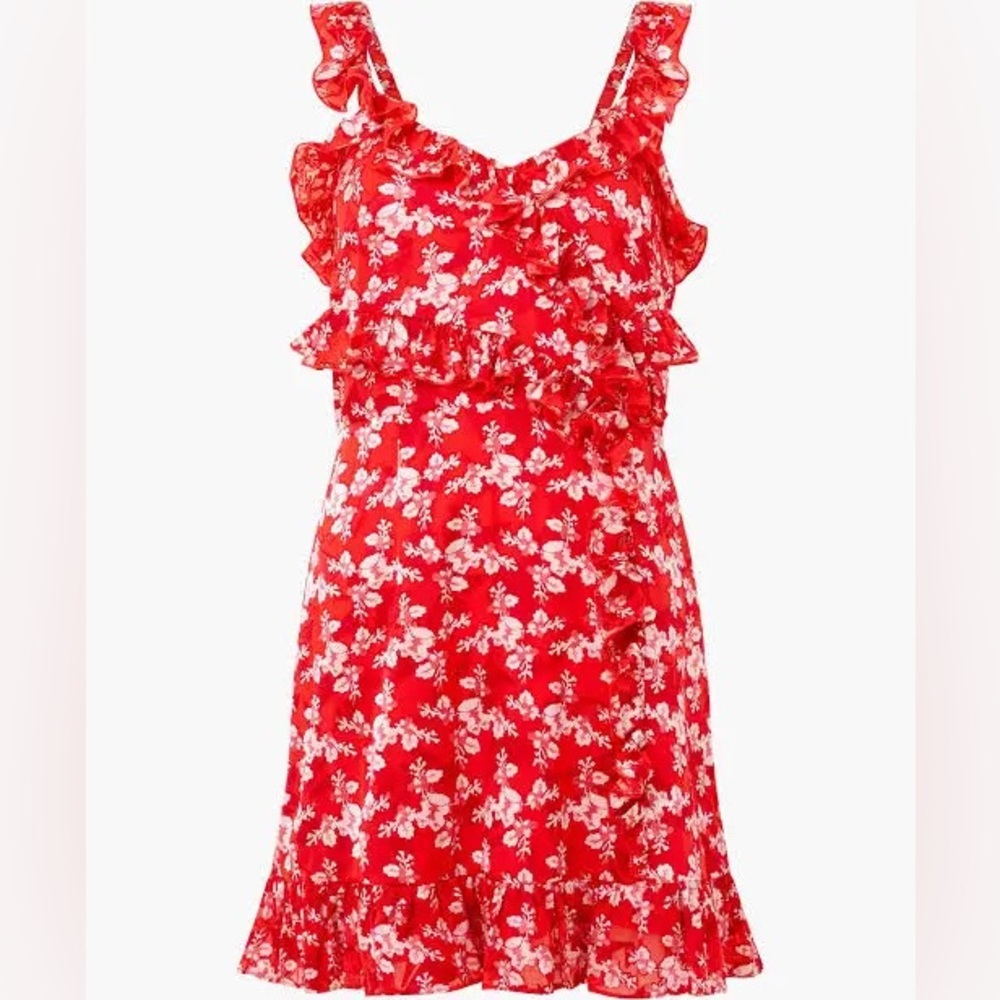 French Connection Eliana Ruffled Burnout Dress ❤️ - Picture 3 of 8